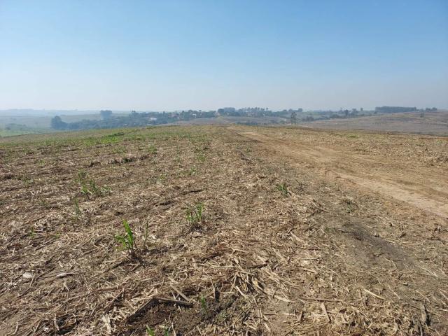 #634 - Fazenda para Venda em Torrinha - SP