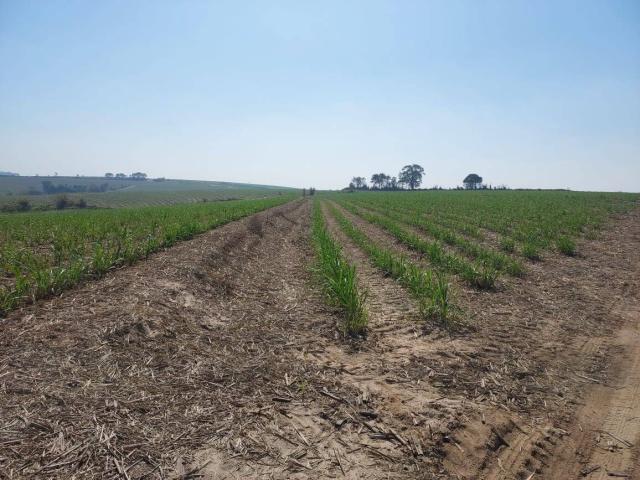 #634 - Fazenda para Venda em Torrinha - SP