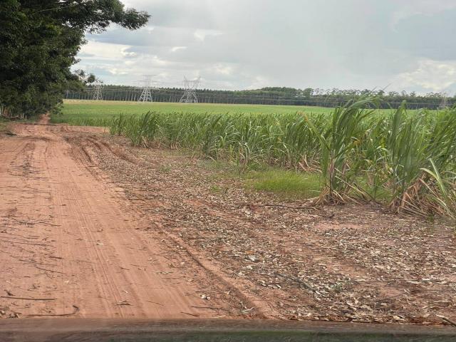 Venda em Área Rural de Rio Claro - Rio Claro