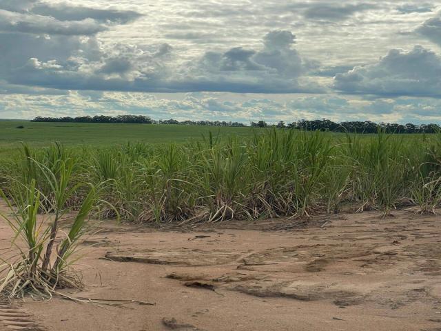 #636 - Fazenda para Venda em Rio Claro - SP