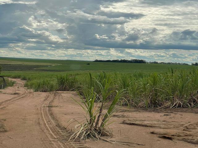 #636 - Fazenda para Venda em Rio Claro - SP