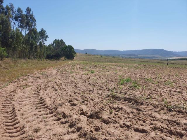 #679 - Sítio para Venda em São Pedro - SP