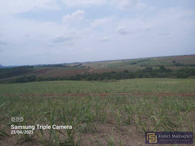 Venda em Área Rural de Charqueada - Charqueada