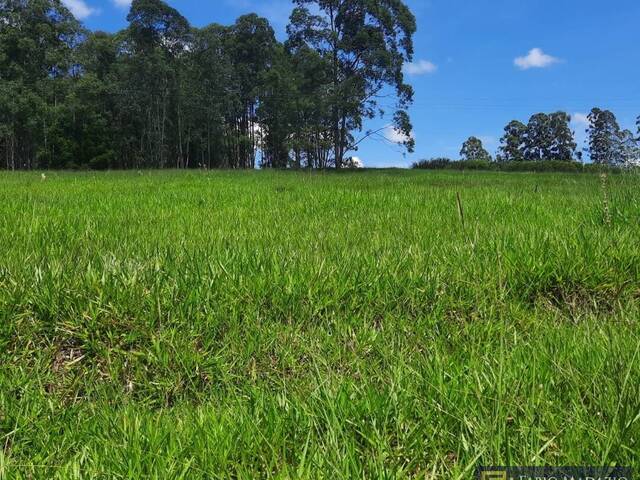 Venda em Alto da Serra - São Pedro