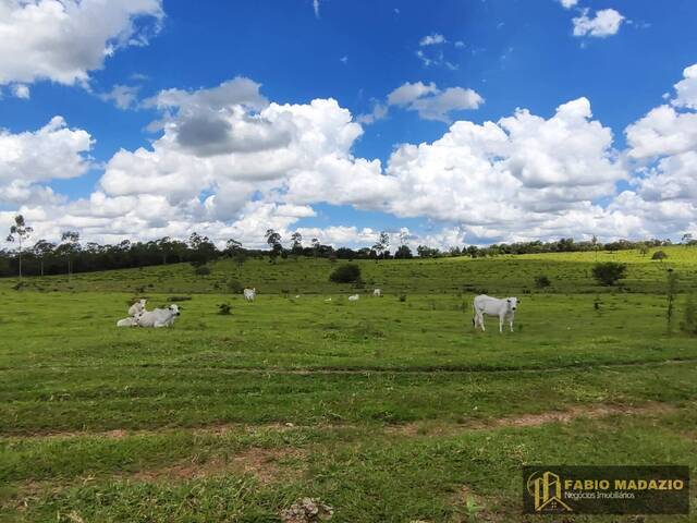 #870 - Fazenda para Venda em Botucatu - SP