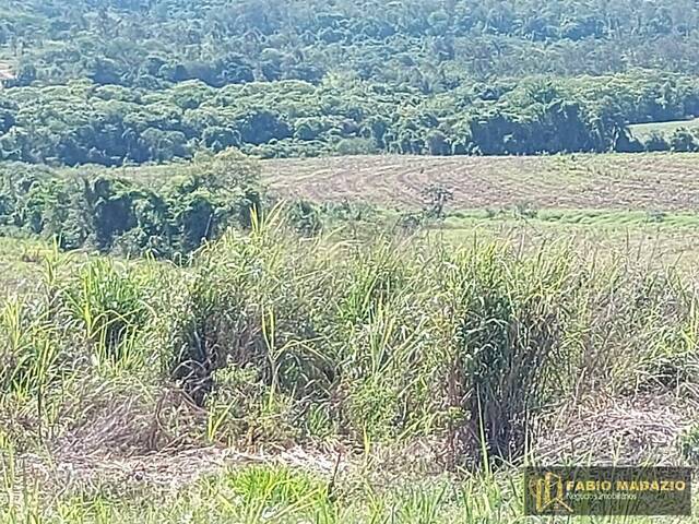 #877 - Sítio para Venda em Charqueada - SP