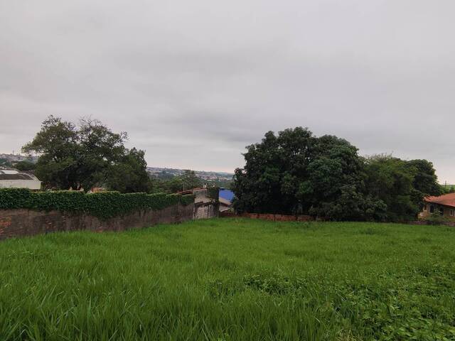 #191 - Terreno para Venda em São Pedro - SP