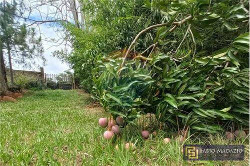 Fazenda à venda com 3 quartos, 140m² - Foto 9