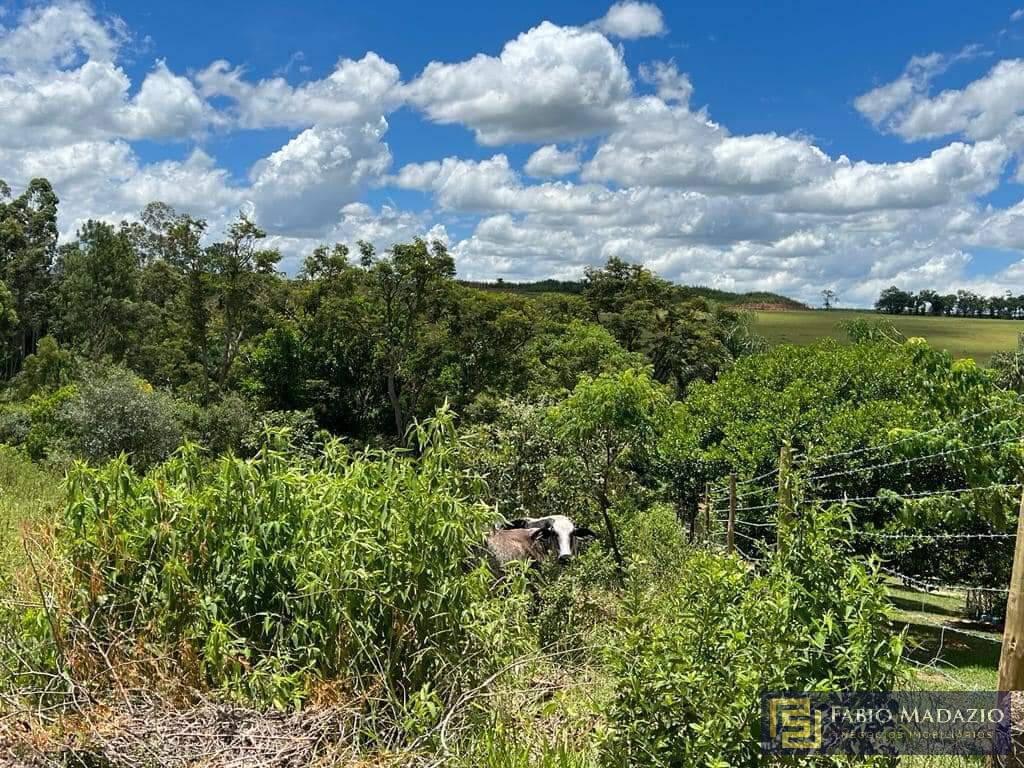 Terreno à venda, 5400m² - Foto 7