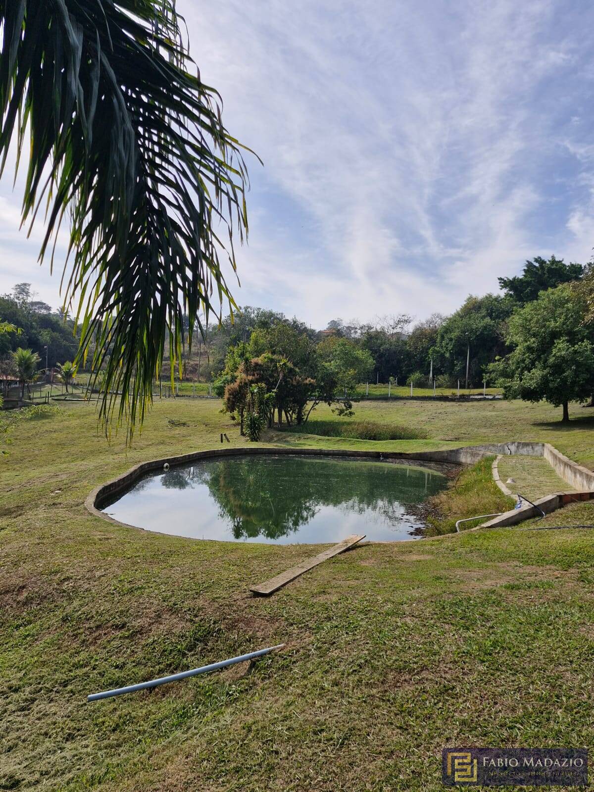 Fazenda à venda com 5 quartos, 1000m² - Foto 35