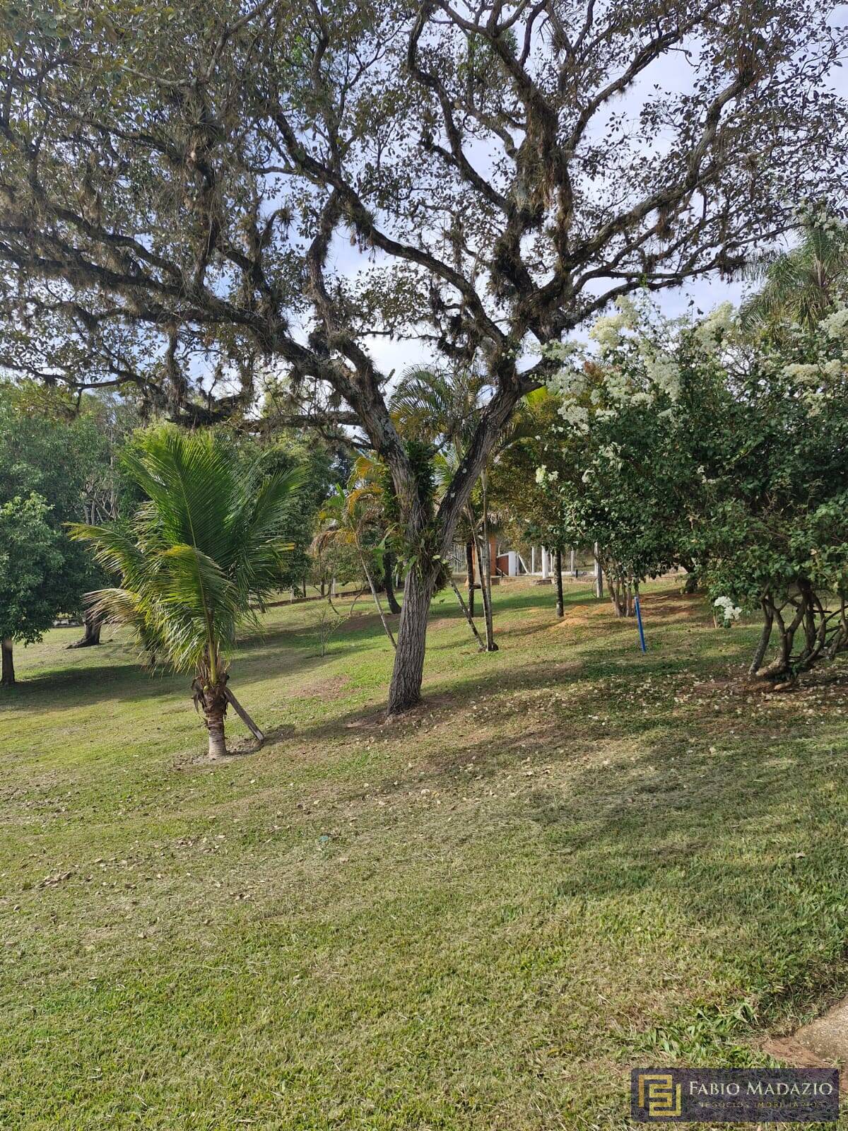 Fazenda à venda com 5 quartos, 1000m² - Foto 36