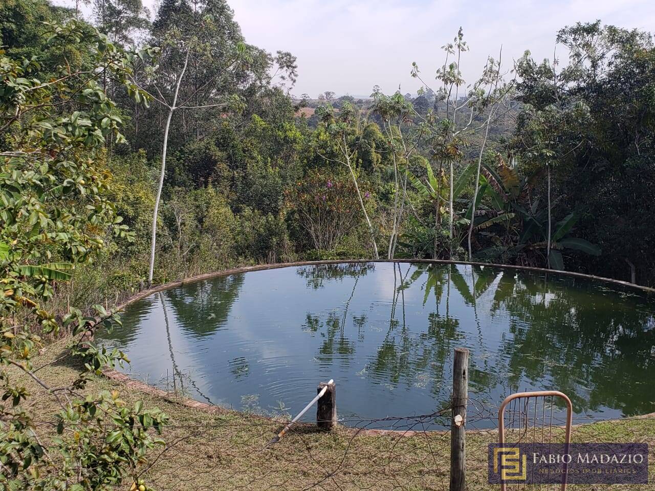 Fazenda à venda com 5 quartos, 1000m² - Foto 42