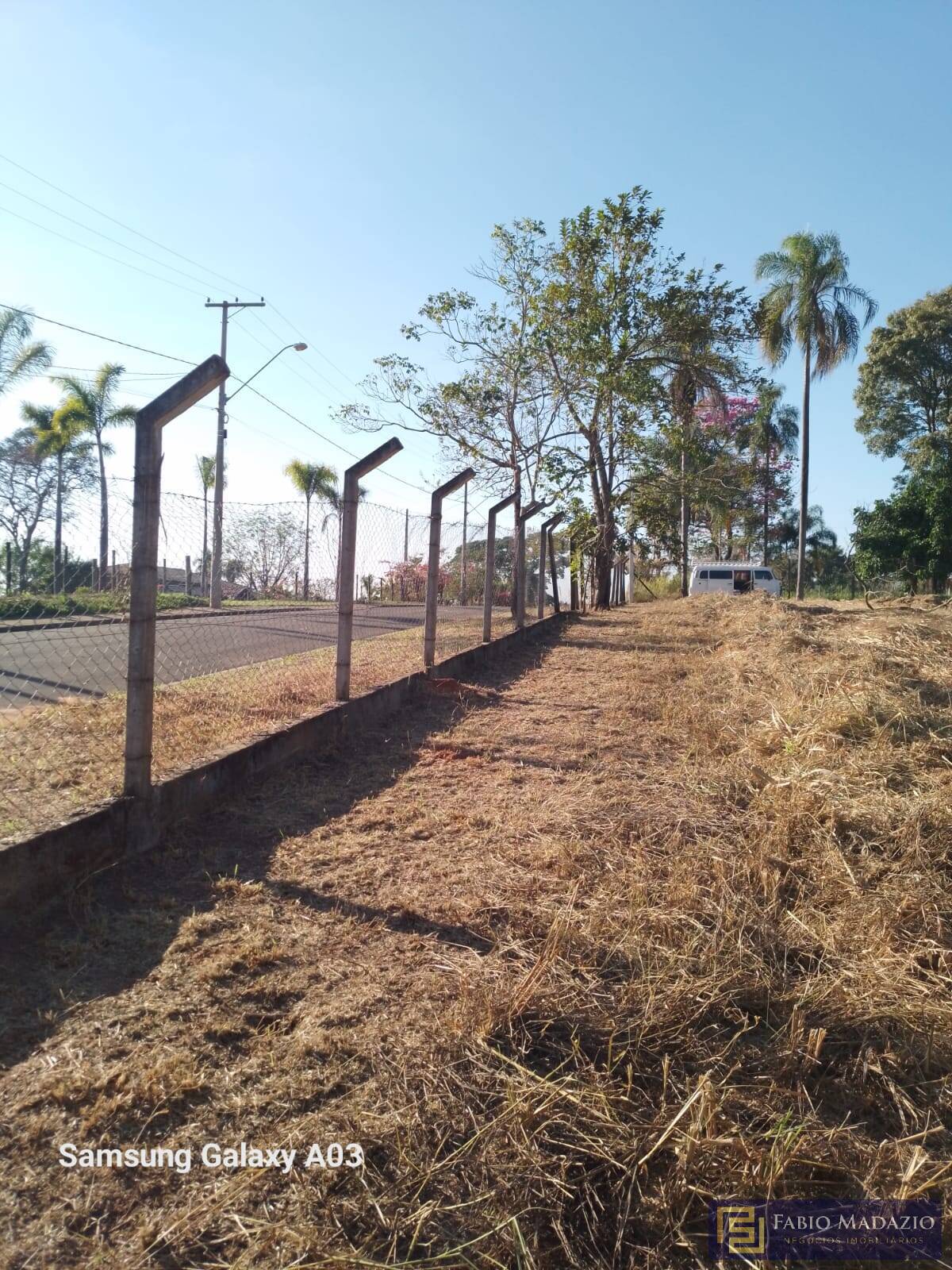 Terreno à venda, 5000m² - Foto 6