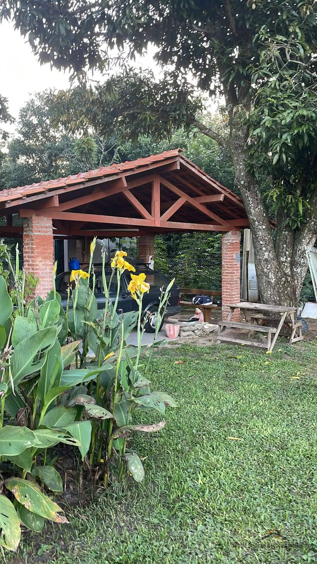 Fazenda à venda com 3 quartos, 7800m² - Foto 5