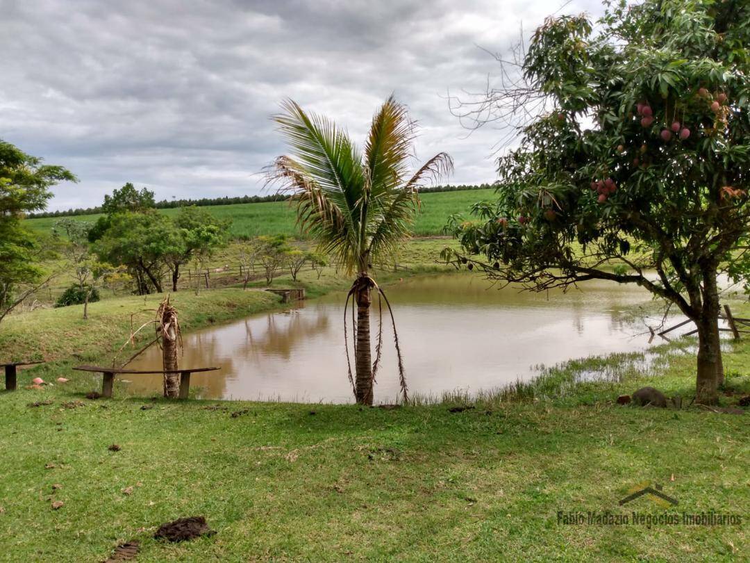 Fazenda à venda com 4 quartos, 400m² - Foto 17