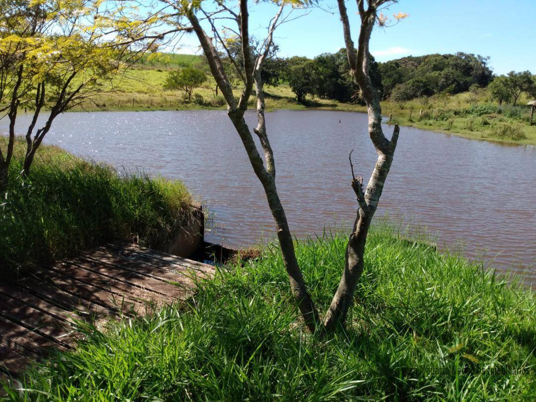 Fazenda à venda com 4 quartos, 400m² - Foto 18