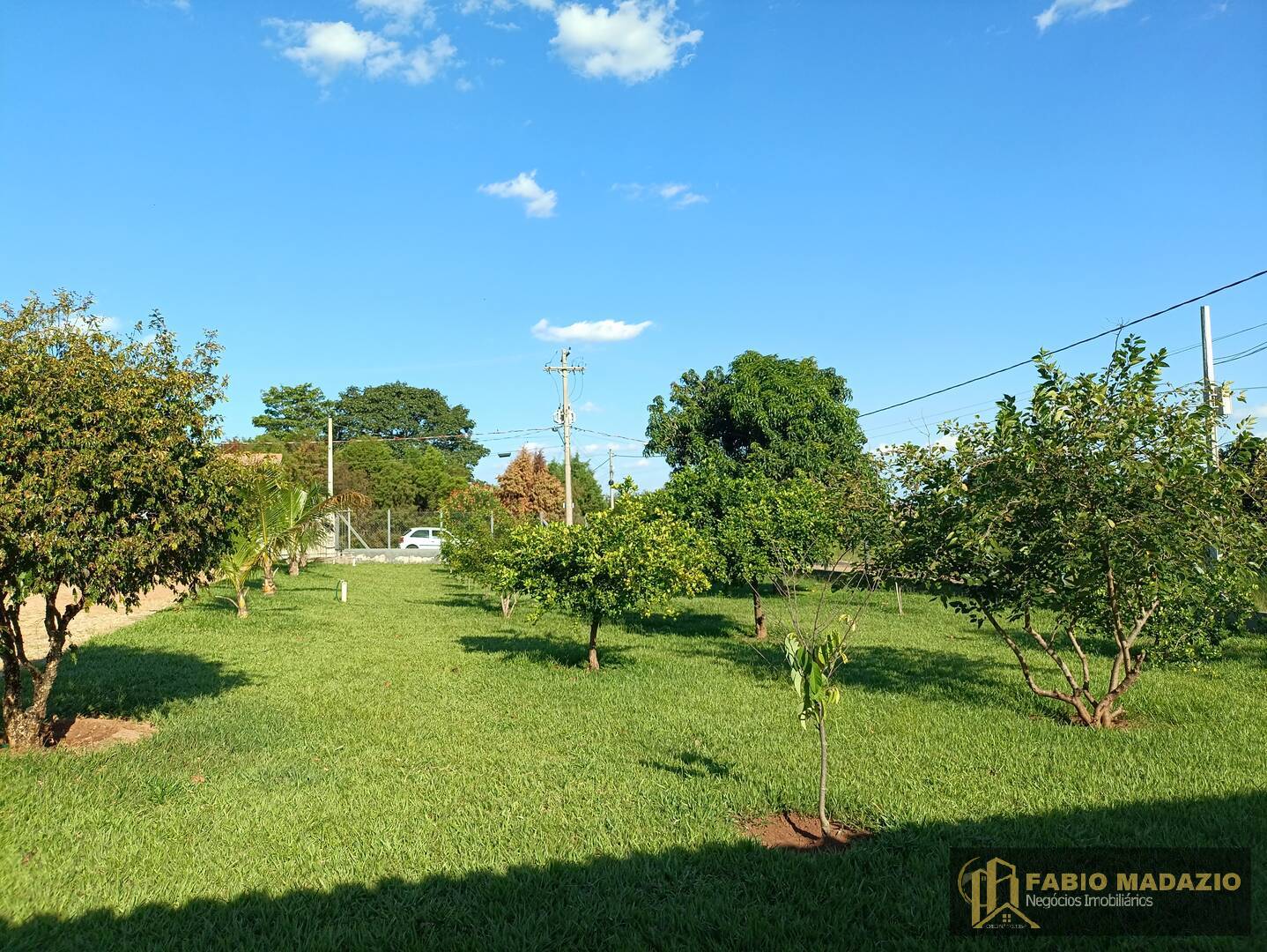 Fazenda à venda com 6 quartos, 500m² - Foto 10