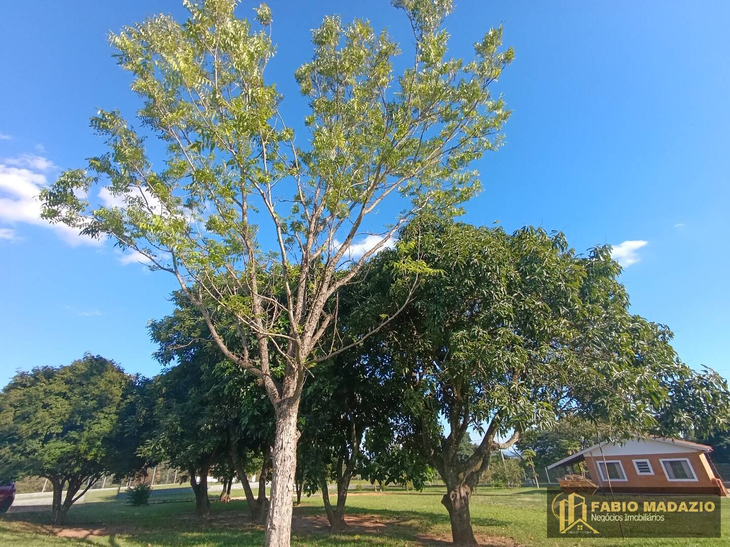 Fazenda à venda com 6 quartos, 500m² - Foto 14